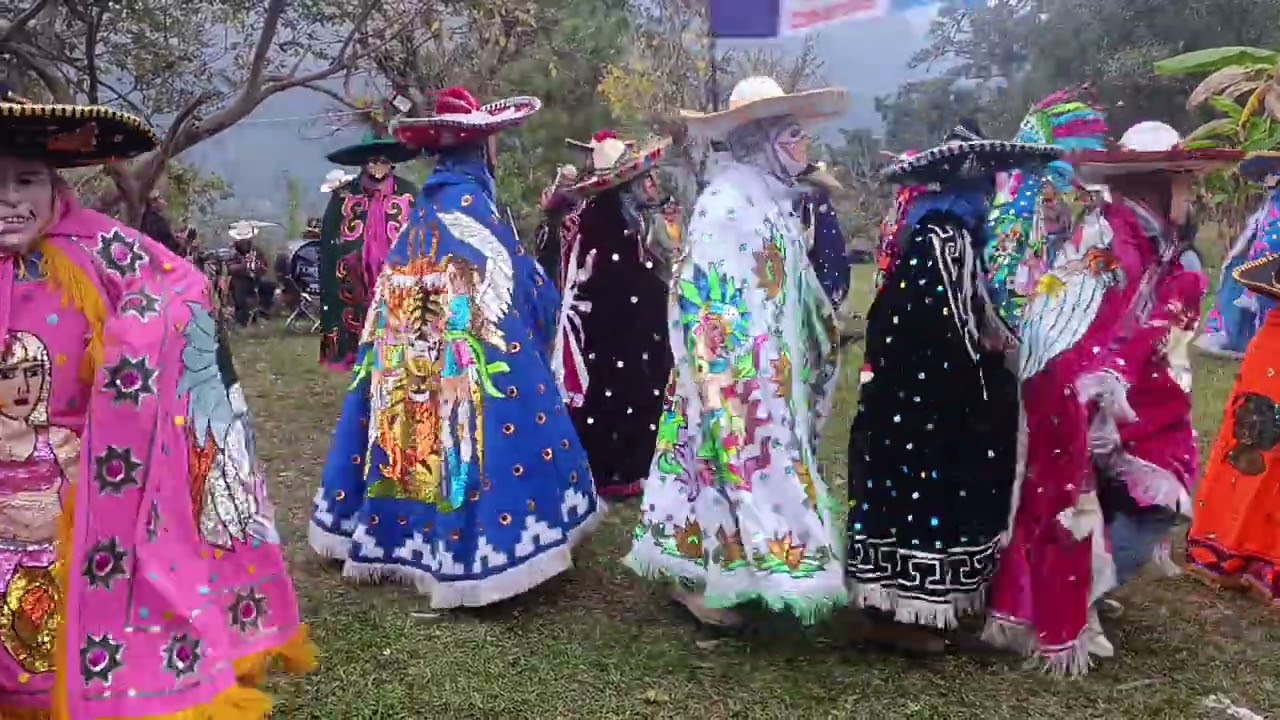 Carnaval camarones 2026 
