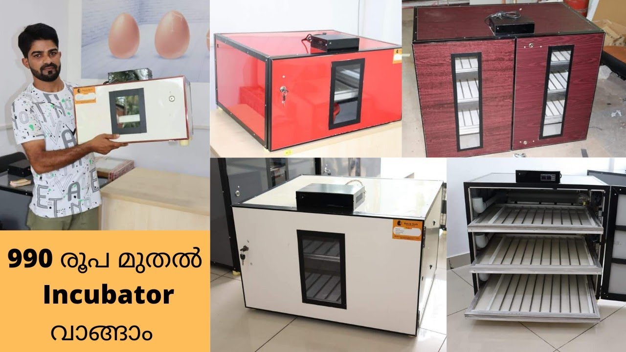 990 രൂപ മുതൽ Incubator വാങ്ങാം |Egg Incubator sale Kerala|Hatch tech incubator|