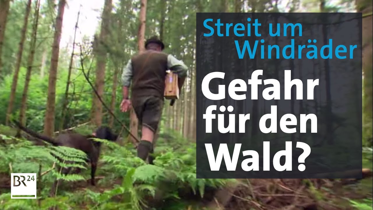 Windenergie vs. seltene Tiere und Pflanzen | Abendschau | BR24