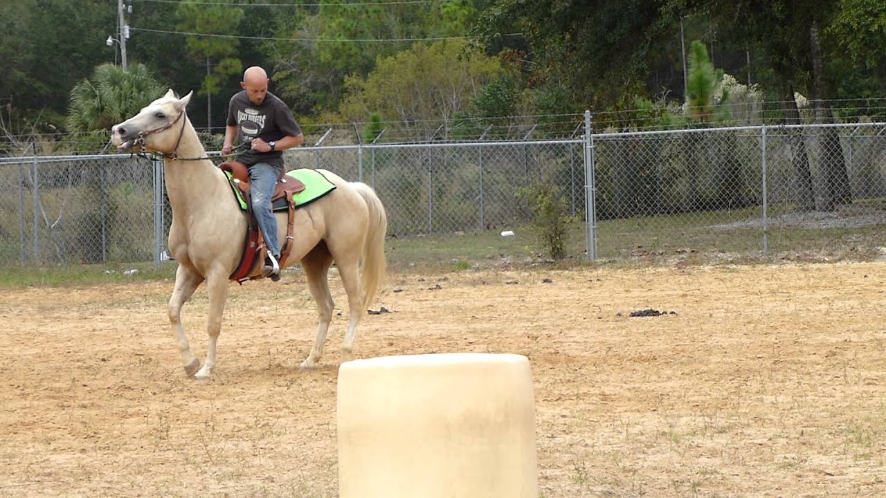George riding Ricky #3
