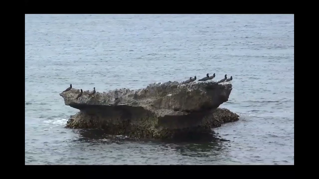 Un día en las Islas del Cisne