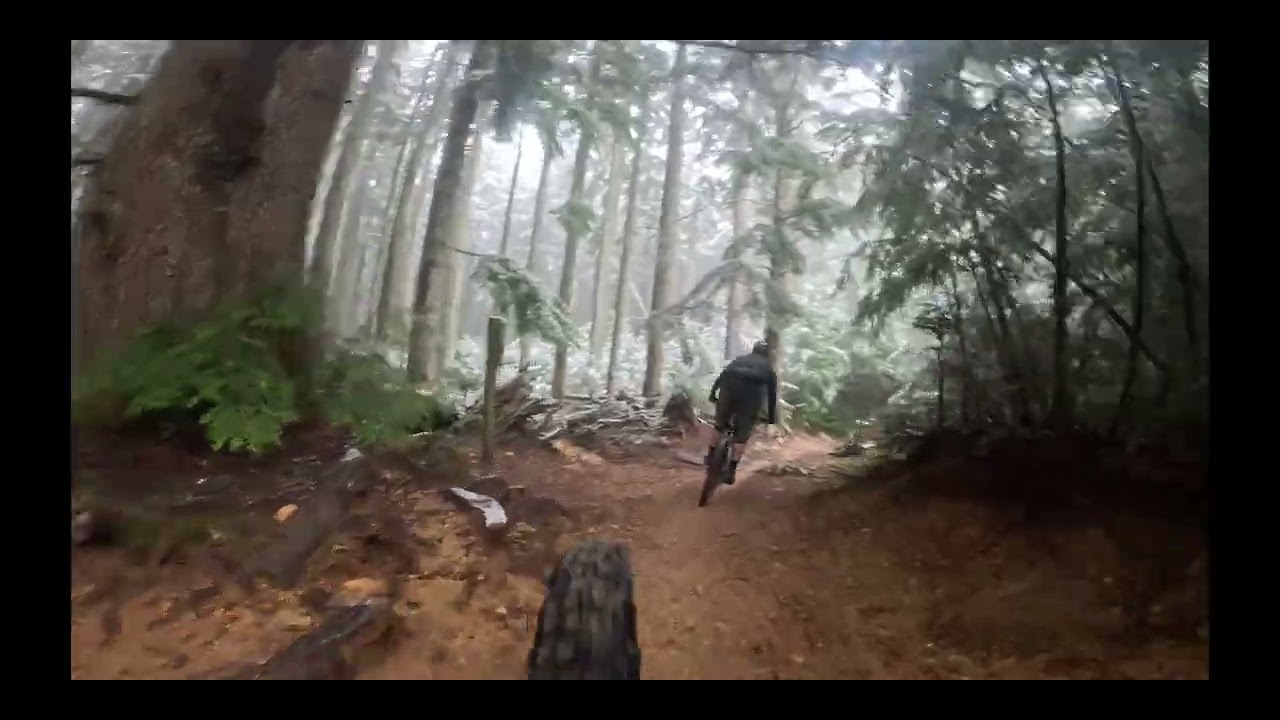 Tiger Mountain   4K