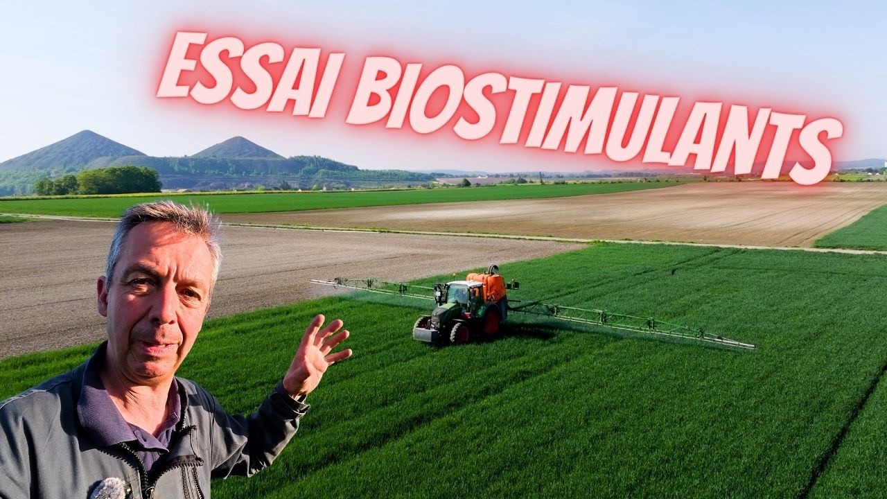 Mode d'emploi des biostimulants pour céréales : comment booster vos rendements 🌾