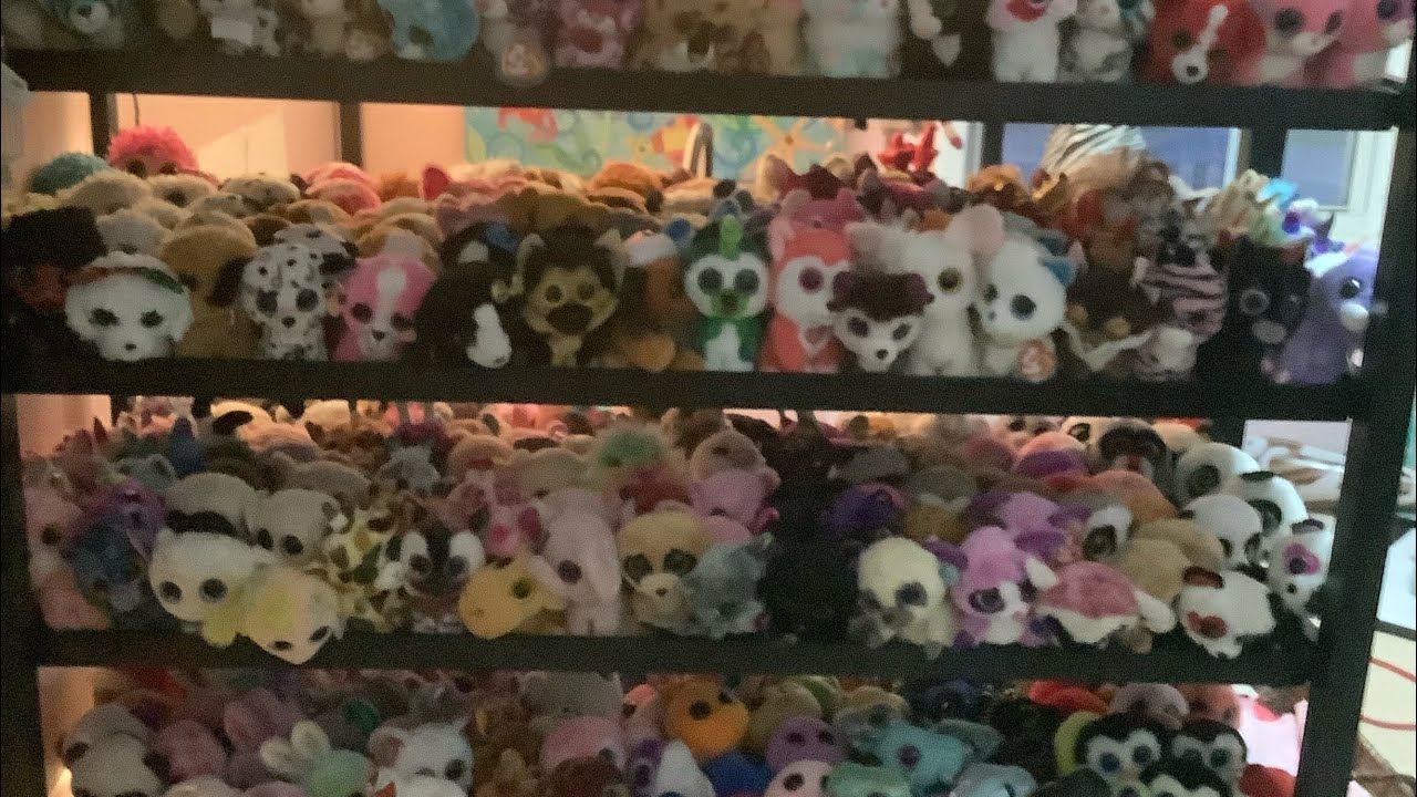 My HUGE Ty Beanie Boo collection 2022! Watch to the end to find out how many I have!