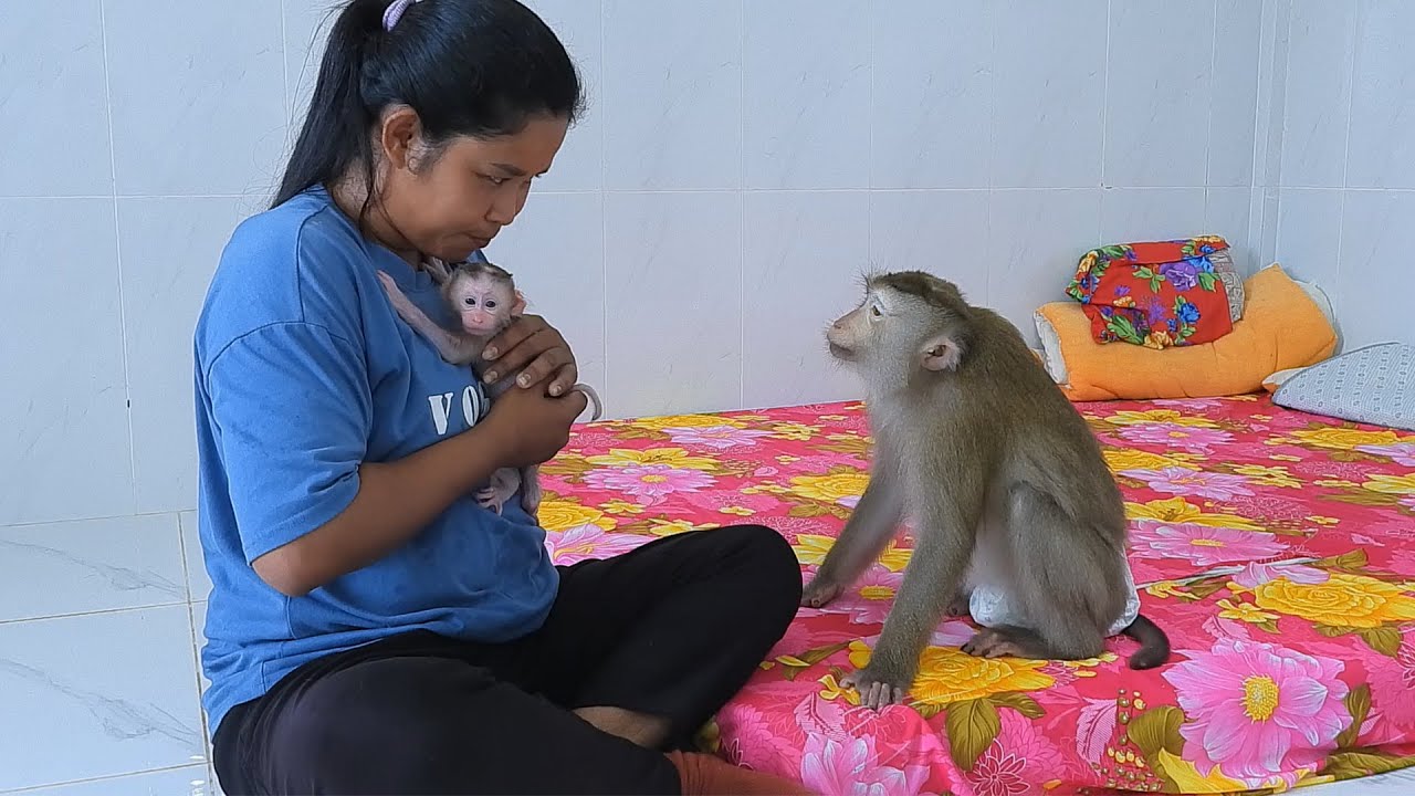 Madam Luna Requesting Baby Luka From Mommy