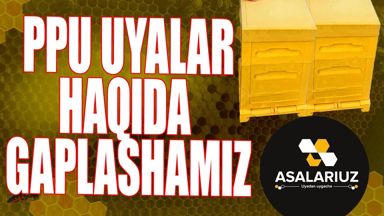 PENAPOLEULITAN uyalarni avzalliklari.