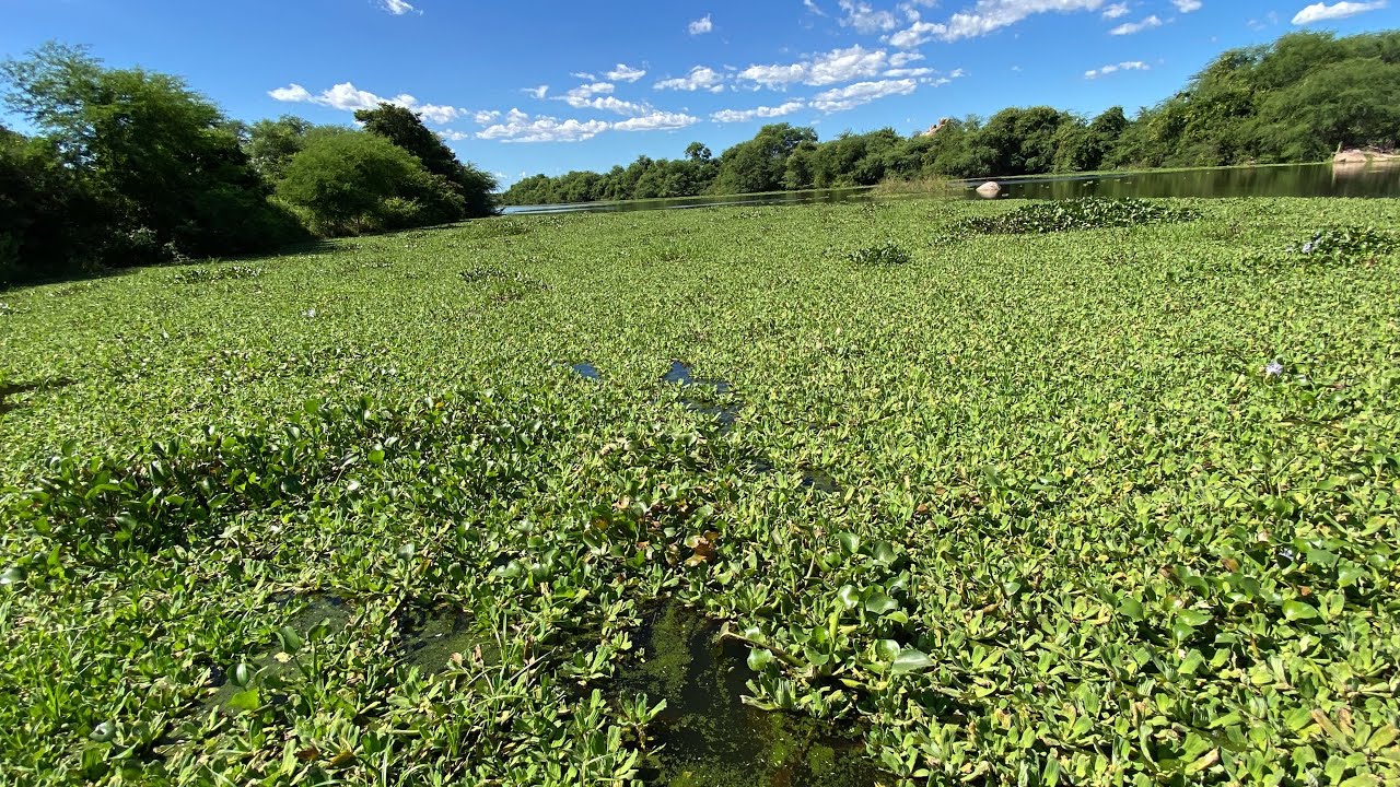 SERÁ QUE EU CONSIGO LIMPAR A BARRAGEM HOJE