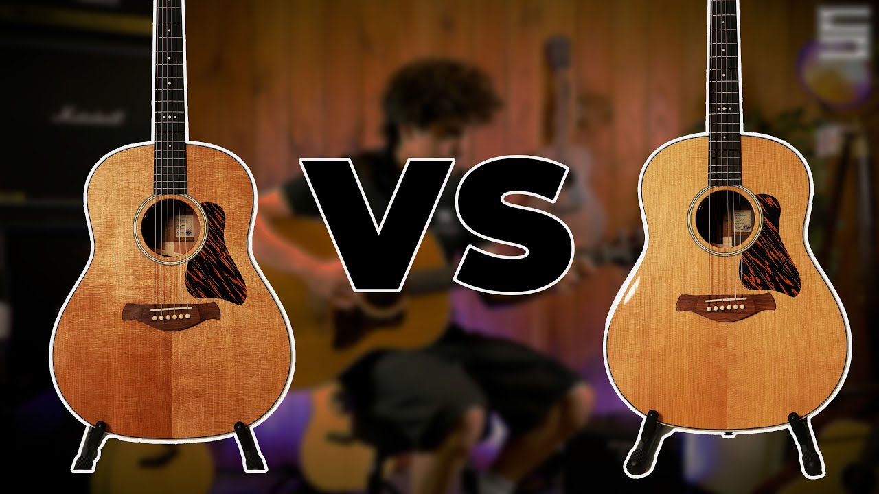 Taylor Gold Label 517e VS 717e | Souman Music
