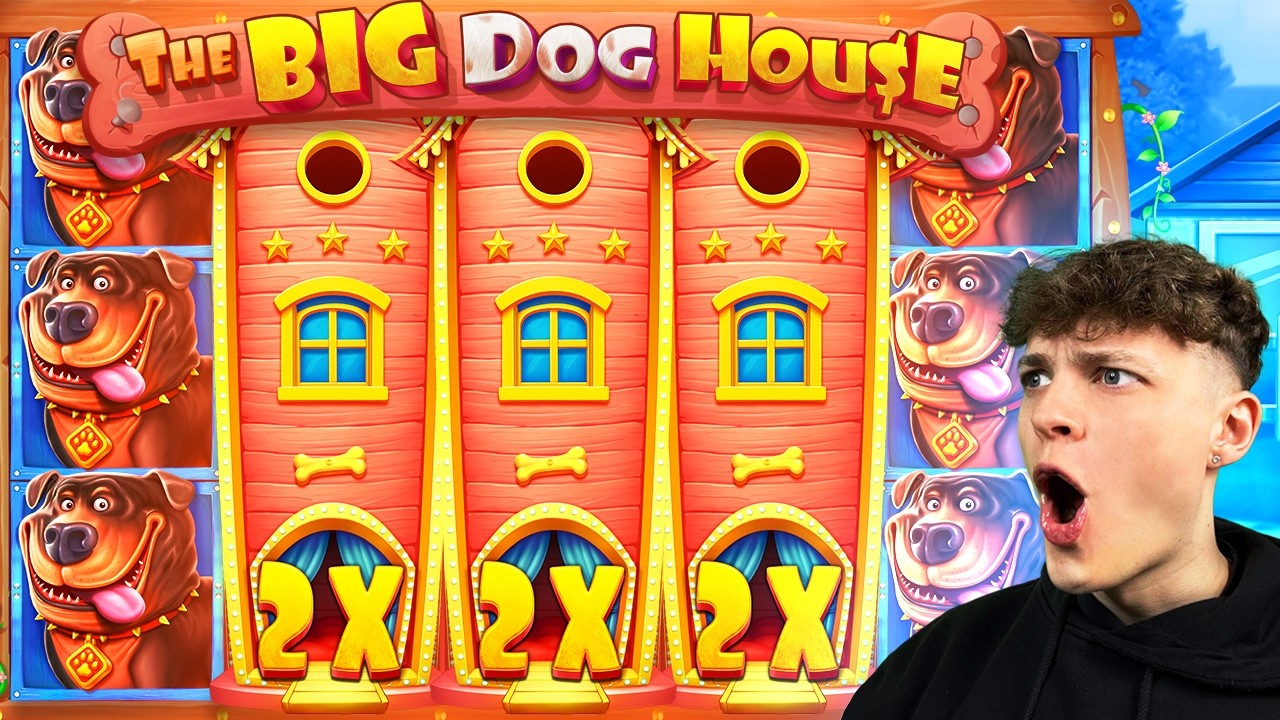 THE MOST INSANE BIG DOG HOUSE SESSION EVER!