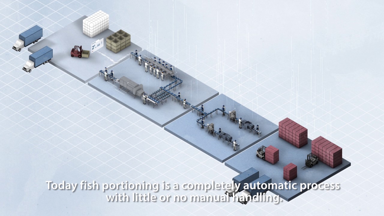 From the sea to the supermarket – a journey into high-tech fish processing