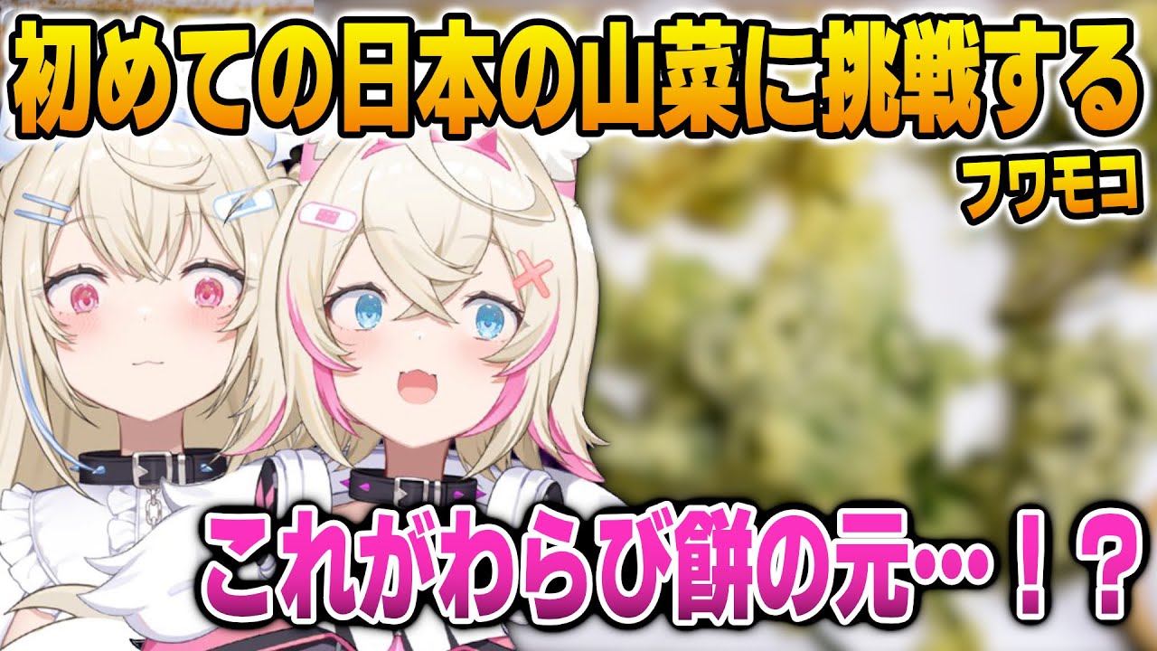 とある日本の山菜を初めて食べてみて美味しさに驚くフワモコ【英語解説】【日英両字幕】