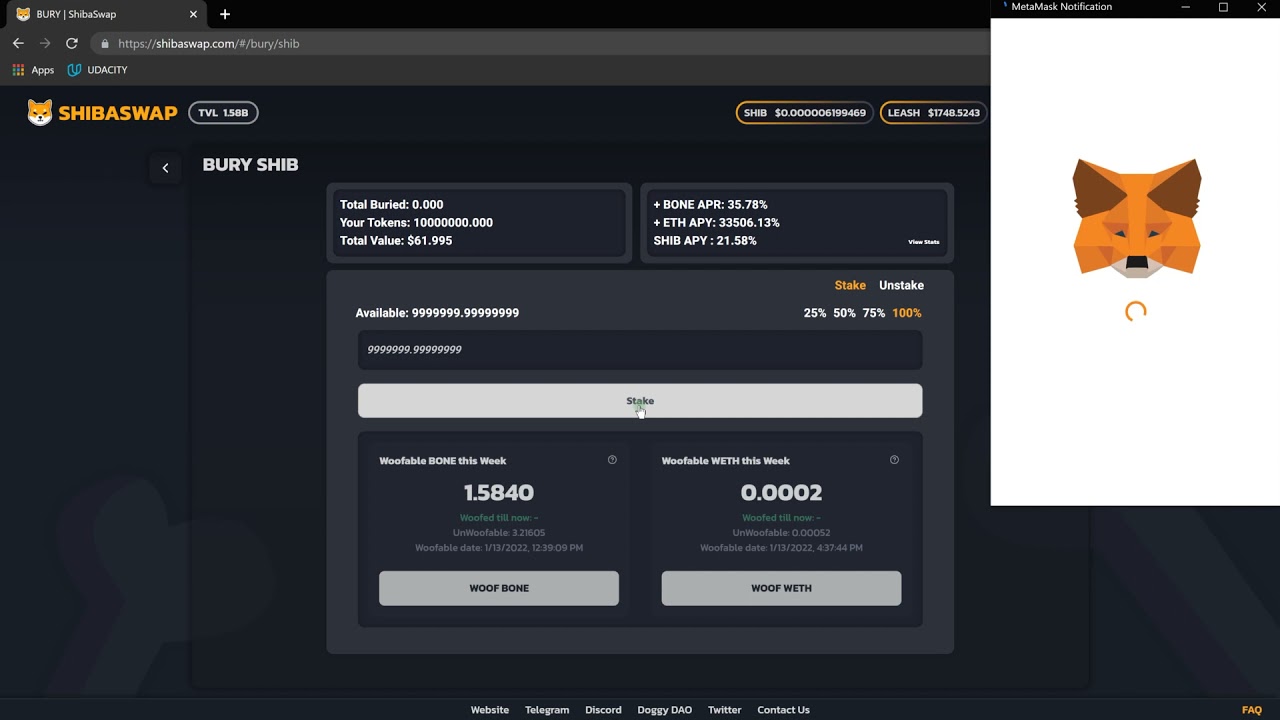 How To Stake (BURY) Tokens On ShibaSwap
