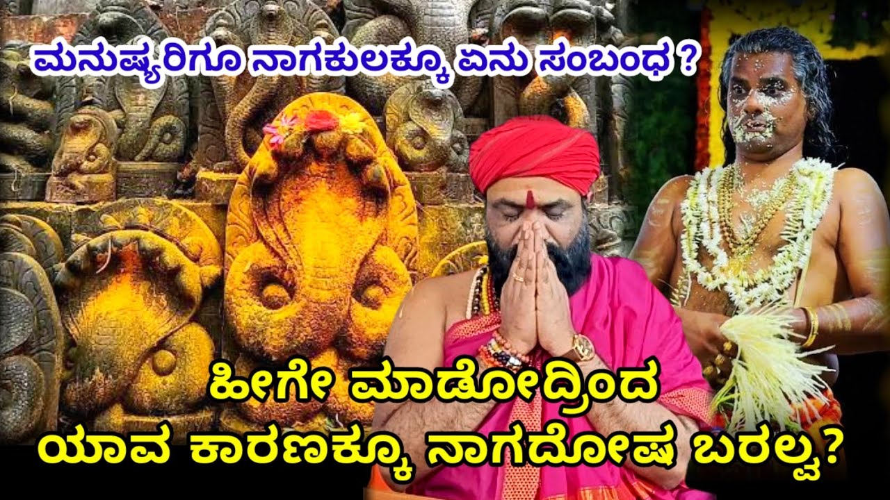 ಹೀಗೆ ಮಾಡಿದರೆ ಎಂದಿಗೂ ಸರ್ಪದೋಷ ಬರೋದಿಲ್ವಾ ?  |  Nagadosha |