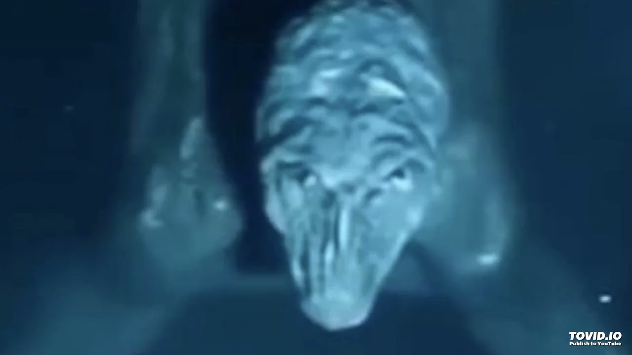 Bakamono - Translucent skin of our abductors