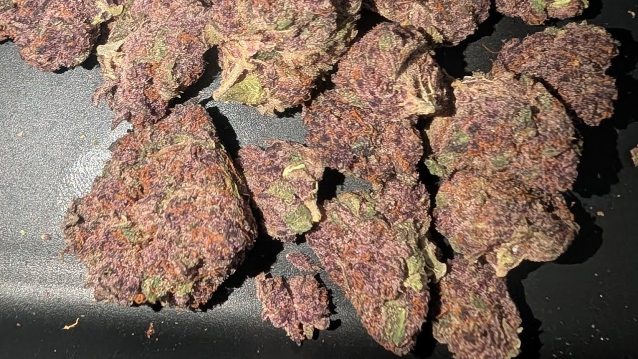 Jgrows420 Trop Cherry 🍒 💯🔥💯