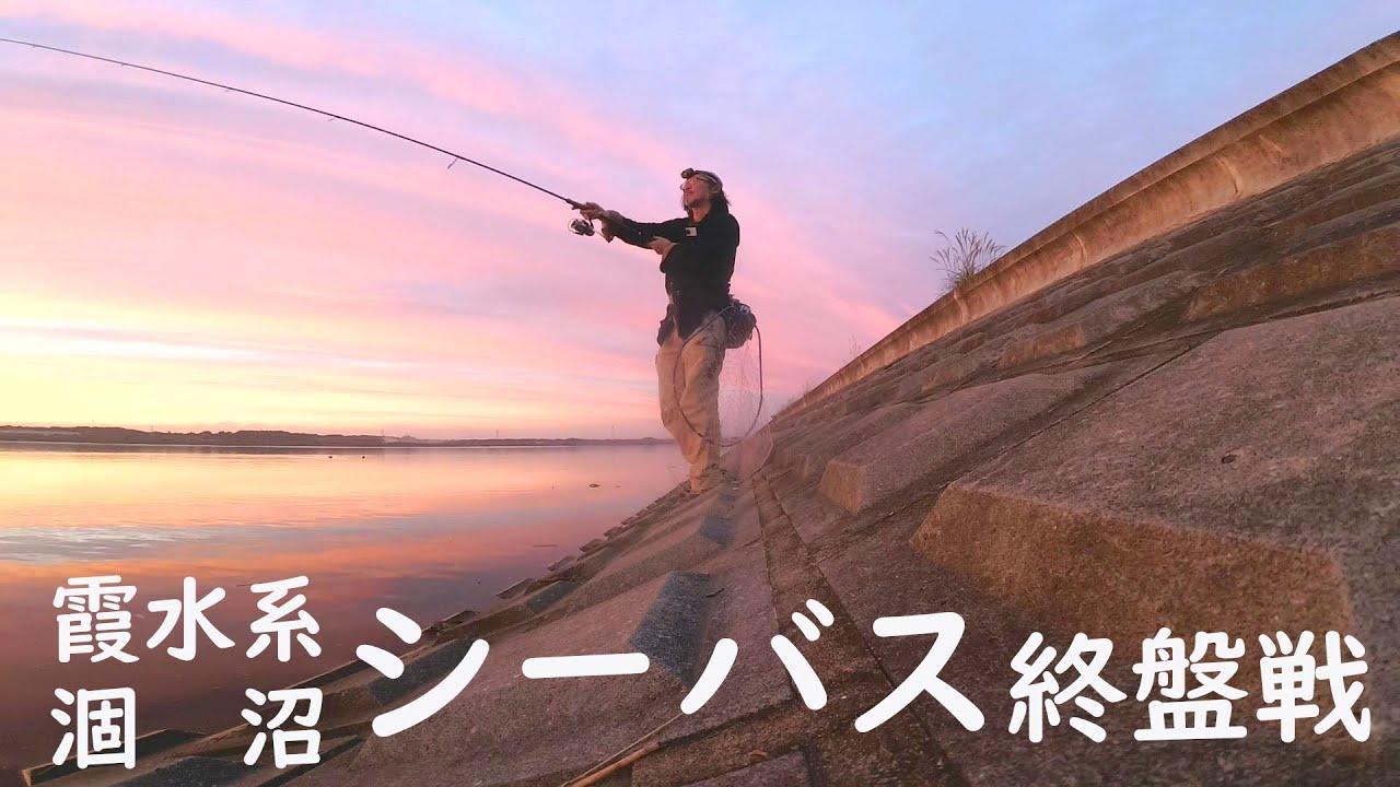 涸沼シーバス終盤戦　【シーバス】－やまいぬ【釣りと歌】チャンネル