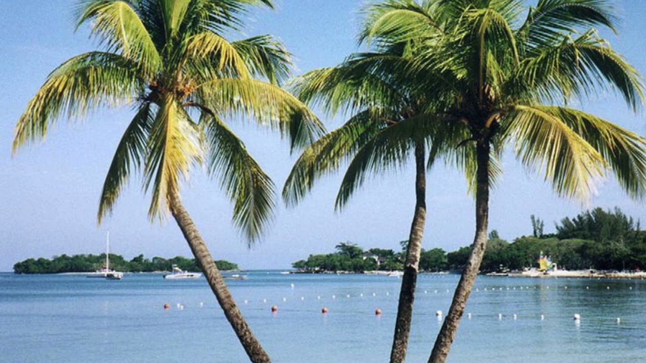 Yvonne Jhons - 05  Island Smile