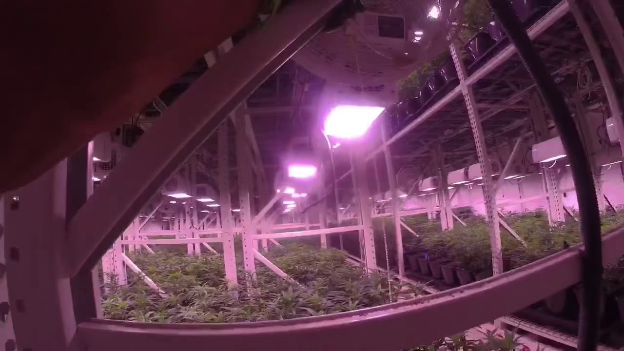 Growers life