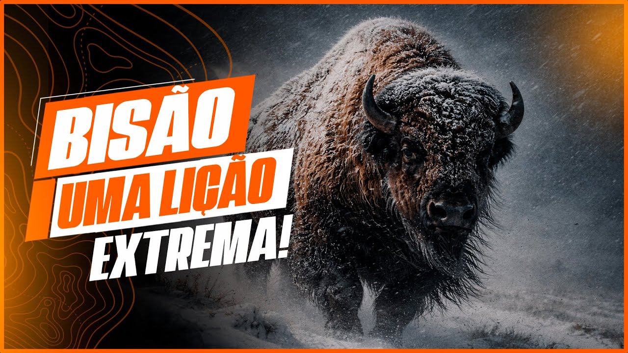 BISÃO ENFRENTA AS TEMPESTADES - SÉRIE: UMA LIÇÃO EXTREMA