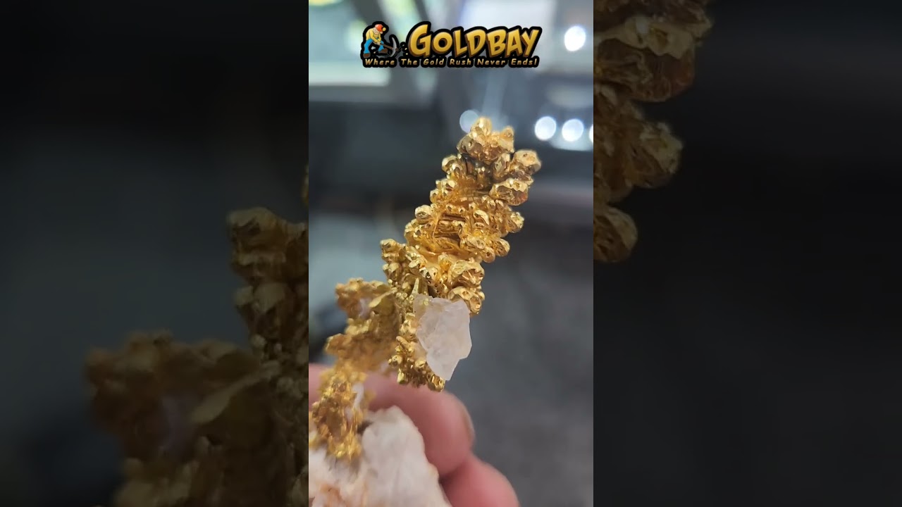 must see rare natural gold crystal #shorts