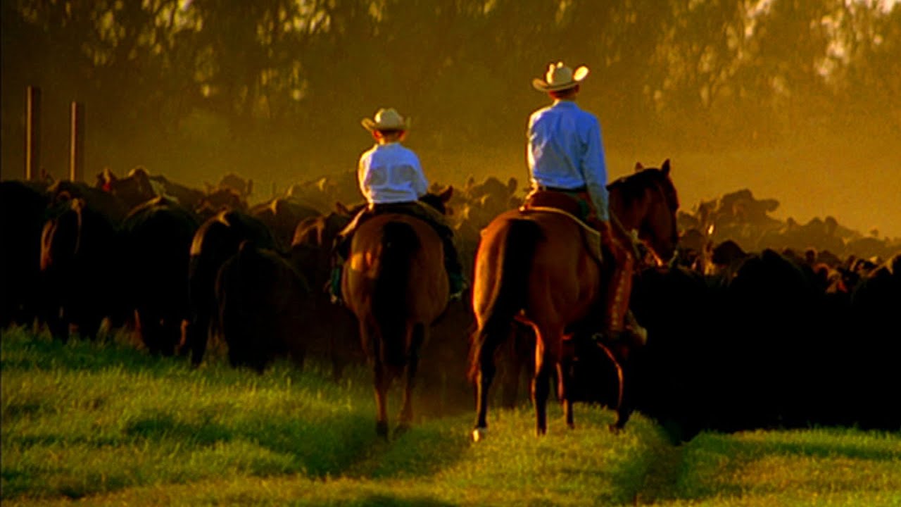 Cowboy Paintings (Texas Country Reporter)