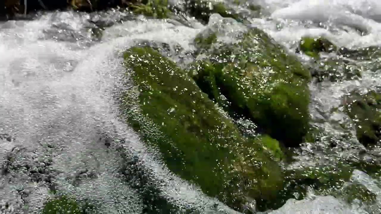Waterfall Flow Over Mossy Rocks 💧🌿 | Close-Up Nature Sounds