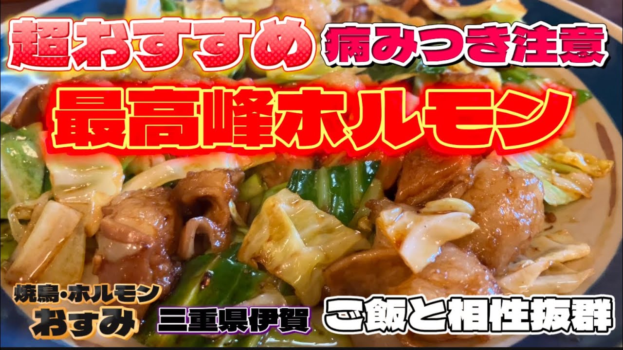 焼鳥ホルモン【おすみ】食テロ🐷🐹