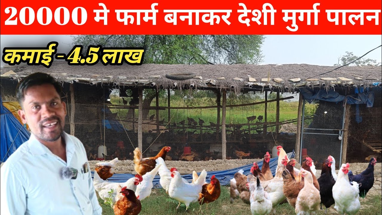 20000 मे फार्म बनाकर देशी मुर्गा पालन ‼️ कमाई 4.5 लाख ‼️ #pathakdeshimurgafarm #palari #farming