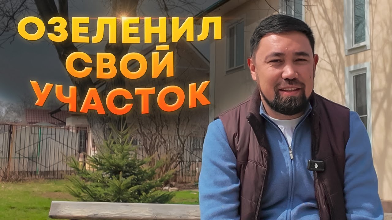 Благоустройство УЧАСТКА. Мой опыт ОЗЕЛЕНЕНИЯ частного дома