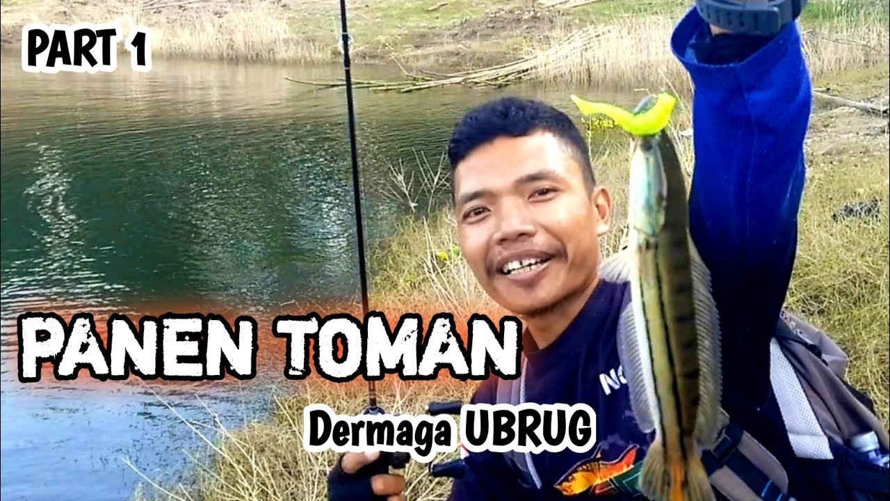 SPOT MANCING TOMAN JATILUHUR UBRUG || Mancing Jatiluhur Part 1 bersama @mansurmimpi @Dezanfishing