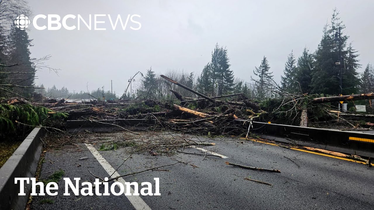 Survivors describe B.C. landslide that cut off Sea to Sky Highway
