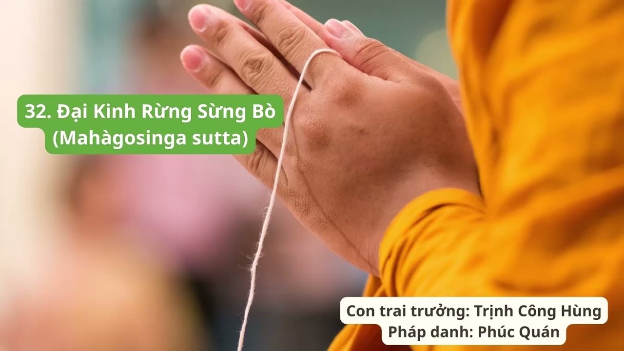 kinh trung bộ 32(Ðại Kinh Rừng Sừng Bò)