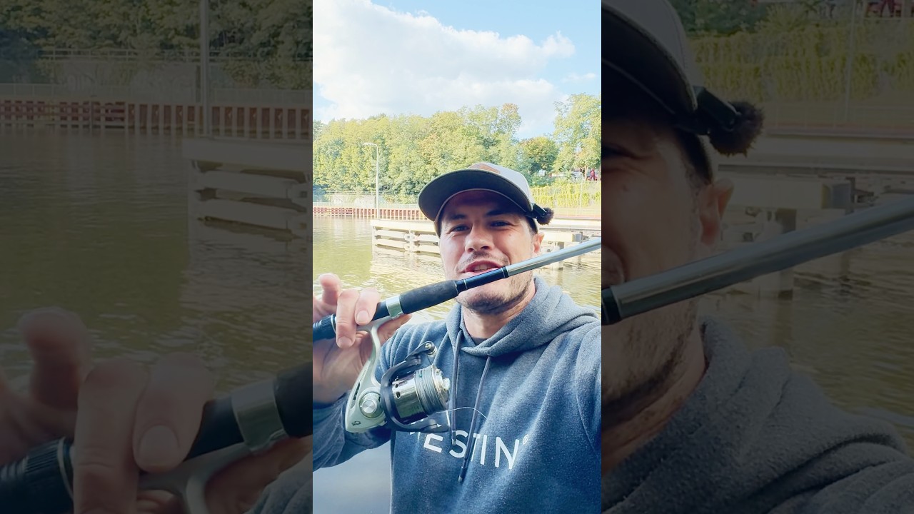 Obi-Fischarten Challenge 🔥🔥 #angeln #fishing #joshinator