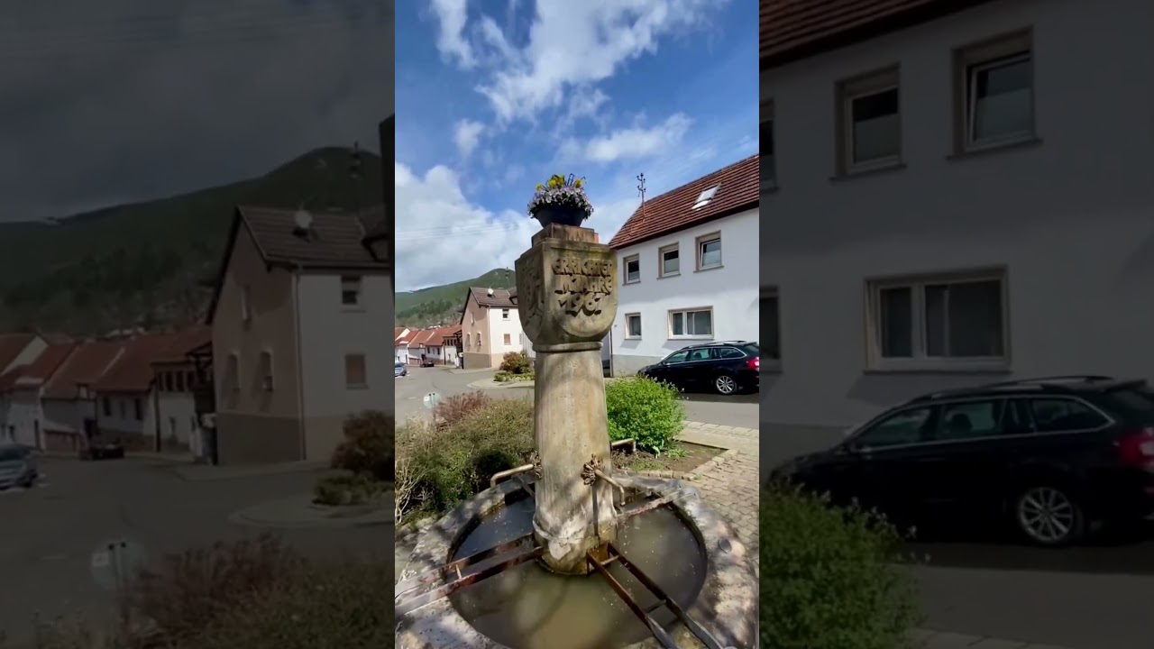 Весна в місті #lambrecht