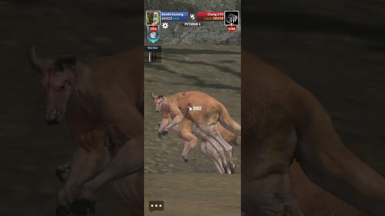Hunting sniper tour 18 #huntingsniper #sniper #kanggaroo #rabbit #warthog