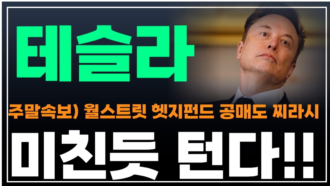 [테슬라 주가분석] 주말속보) 월스트리트 헷지펀드, 옵션트레이더들 공매도 찌라시. 미친듯 턴다!! #휴머노이드로봇 #테슬라주가전망