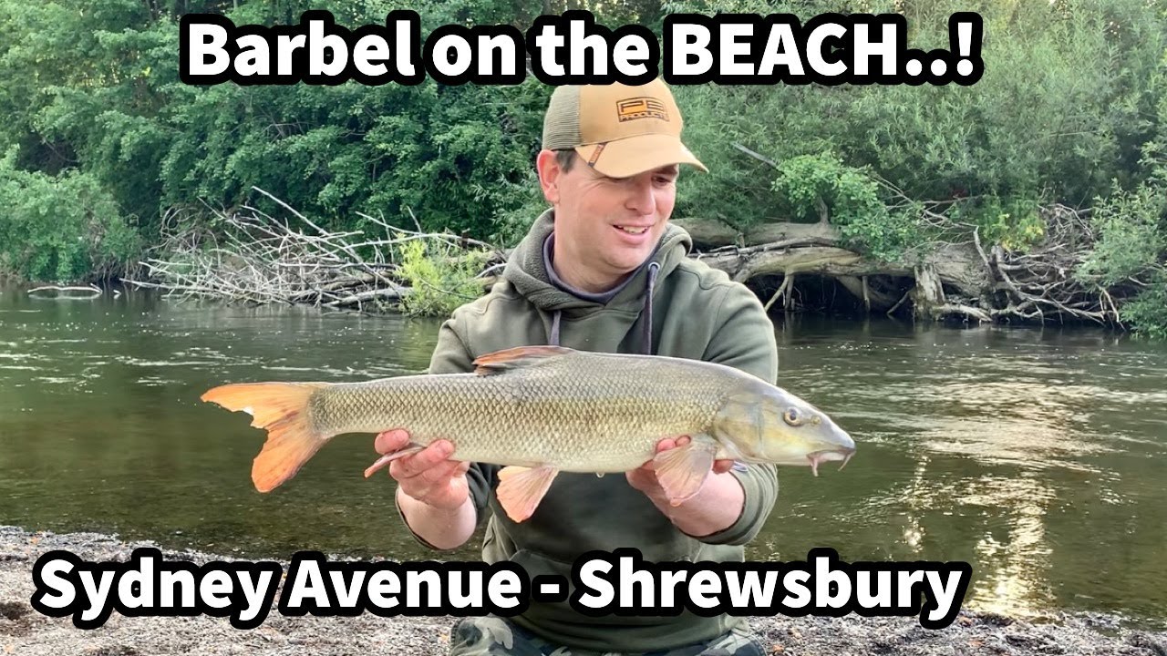 Barbel Fishing on the BEACH @ Sydney Avenue River Severn Shrewsbury June OPENING DAY 16/06/2022 EP8