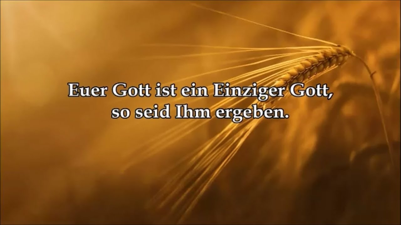 Koran auf deutsch mit Erklärung Sura 22 Die Pilgerfahrt - al-Hagg | ᴴᴰ