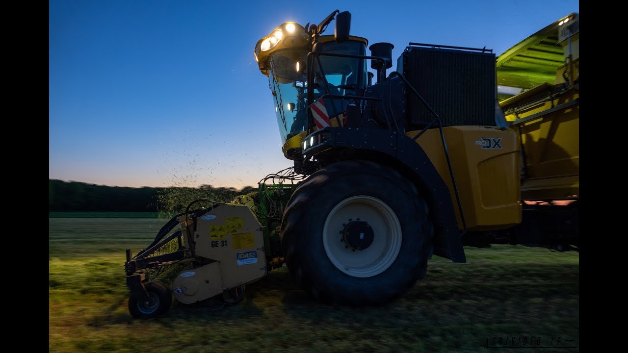 Du champ au camion ! Ensilage de luzerne/ Pro DX/ ETA Desimpel