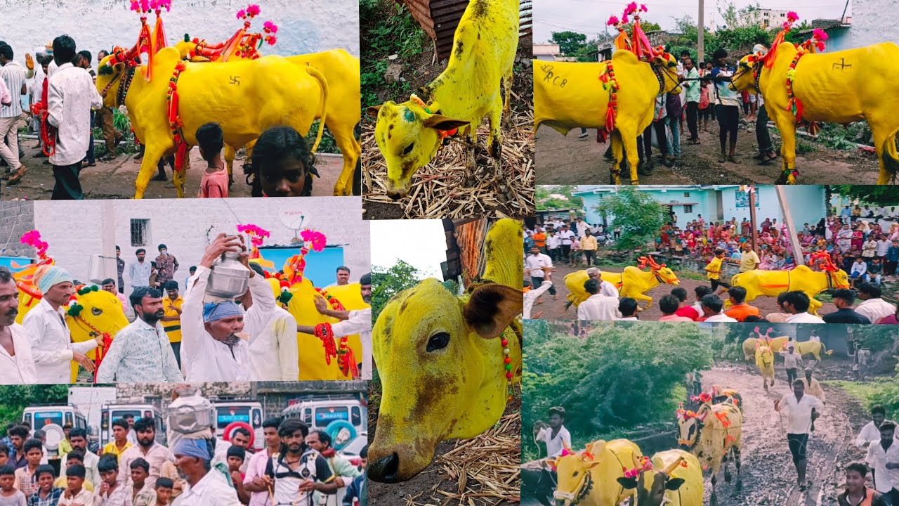KARHUNNIME ,GOLA B #gola #bull #run #festival #village #villagelife #gulbarga #comedy #funny #viral