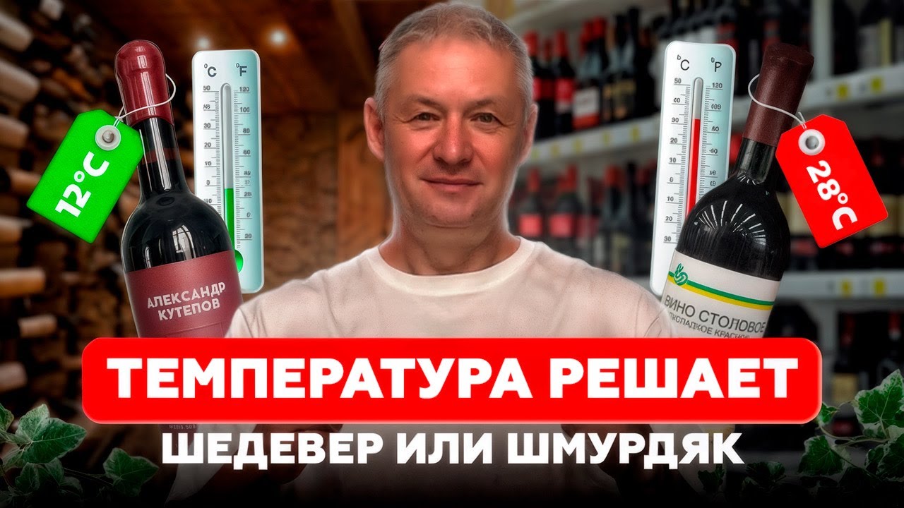 Как делают лучшие вина мира? И как ТЕМПЕРАТУРА БРОЖЕНИЯ может превратить вино в ШМУРДЯК!?