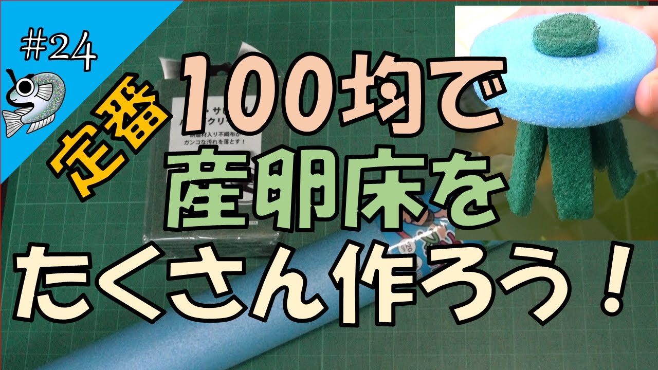 #24 産卵床をたくさん作ろう！ making a medaka spawning bed【とびっこメダカ】【Medaka】