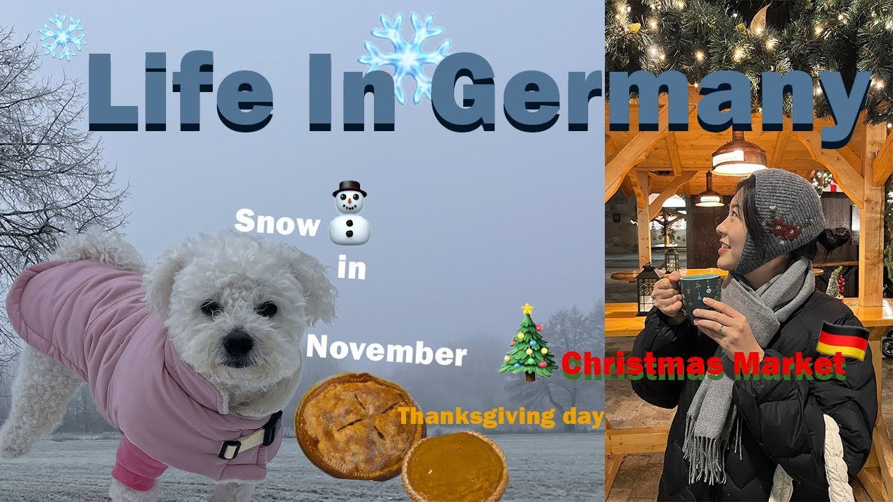 11월 첫눈❄️ 인생 크로아상🥐!! 뉘른베르크 크리스마스 마켓🎄🎅🏼이케아 팝업, 독일에서 보내는 첫 추수감사절🦃🍂