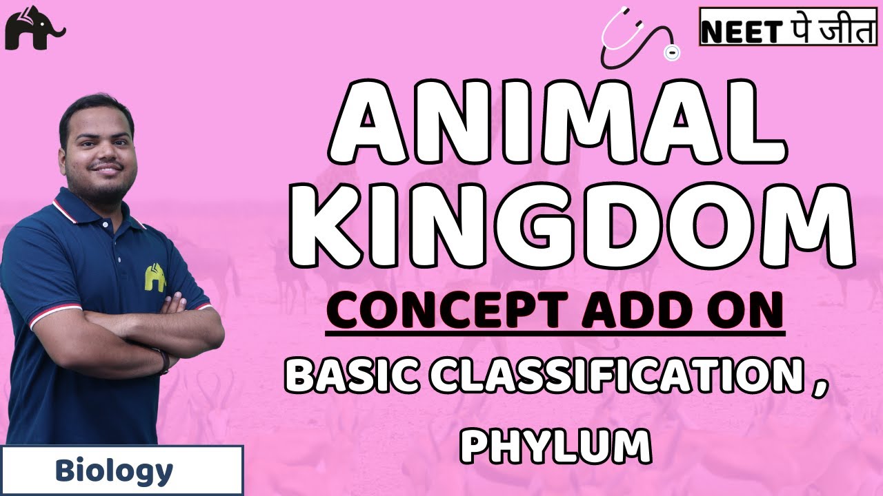Animal Kingdom Class 11 NEET | Basis of Classification Porifera Coelenterata Ctenophora | Biology