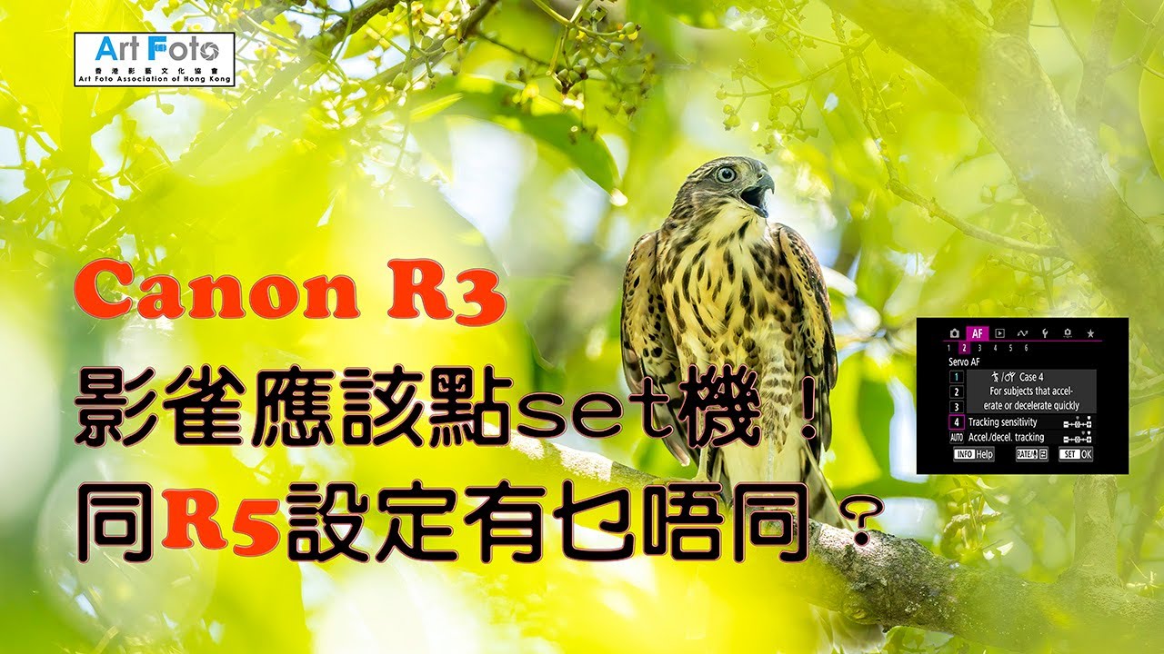【攝影教學 #228】Canon R3影雀應該點set機  - Alex Fung FRPS, GMPSA, EFIAP/p
