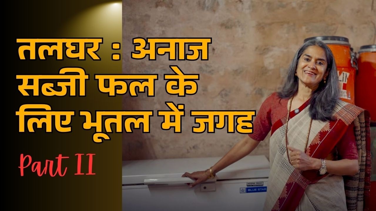 भूमिगत तहखाना: बिना बिजली का प्राकृतिक स्टोरेज #rootcellar #undergroundcellar #foodstorage