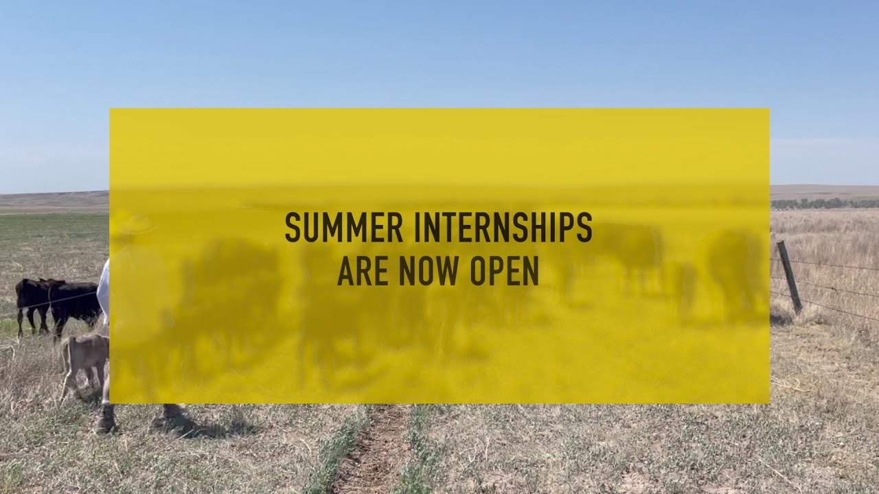 Internships 2023