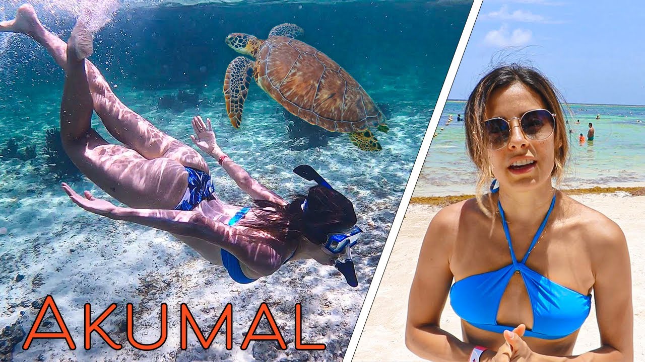 I CAN'T BELIEVE WE SAW THIS IN AKUMAL! // BEST PLACE IN MEXICO? HUGE Turtles + Meeting Subscribers!