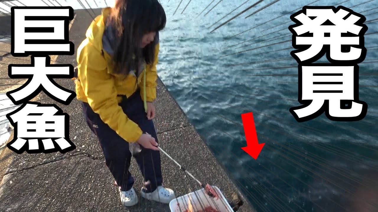 【フカセ釣り】あの魚が連発したので高速で捌いてみたら！？