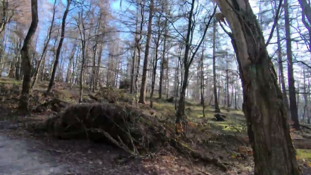 Posbank 15-02-26 05